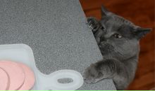 Фотография Прохоровой Марии