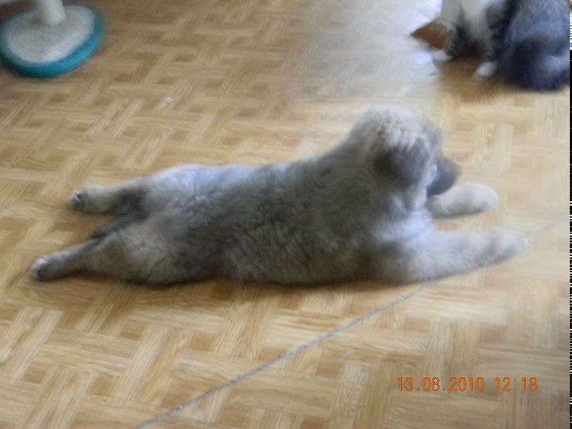 Денис Моисеев фотография #2