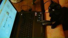 Фотография Ильин Юра