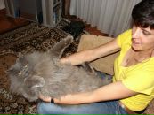 Nataşa Batalina фотография #30 (источник - https://vk.com/id85434821)