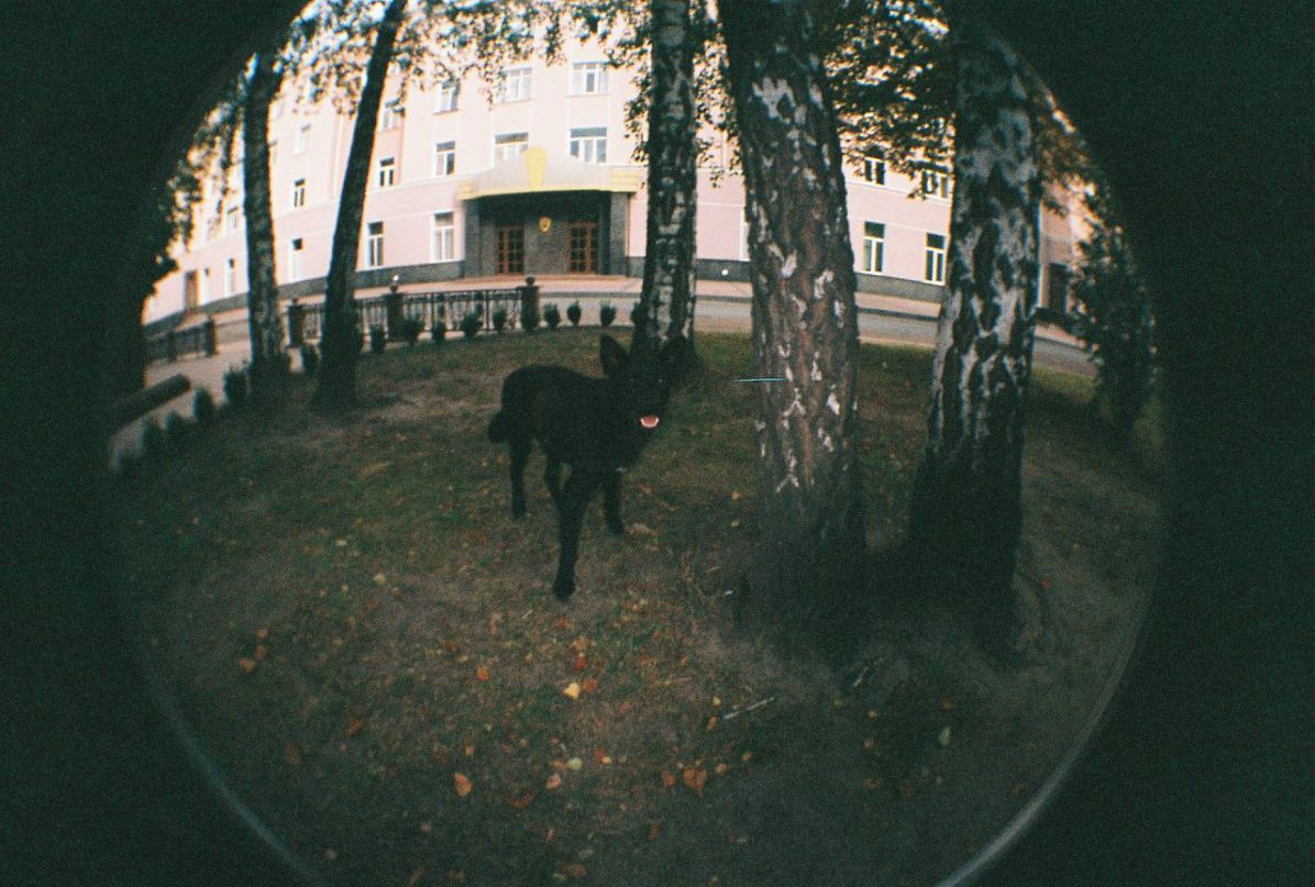 Иван Тагиров фотография #49