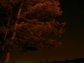 Фотография Криган Ариман