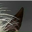 Ваня Садохін фотография #42 (источник - https://vk.com/id152568009)