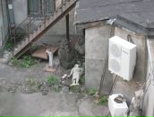 Миша Парнес фотография #46 (источник - https://vk.com/id1627167)