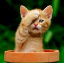 Анна Анютіна фотография #30 (источник - https://vk.com/id79628597)