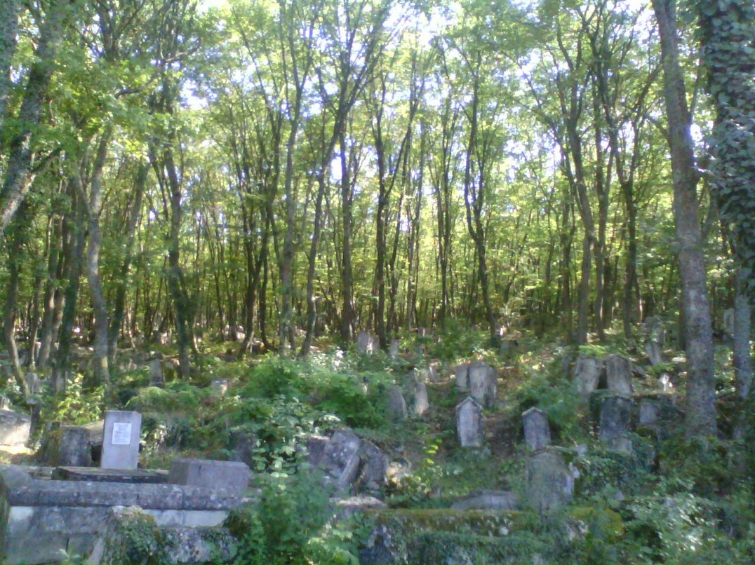 Антончиев Дмитрий фотография #31