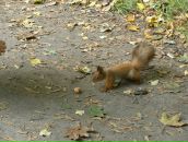 Олексій Вридиш фотография #24 (источник - https://vk.com/id9101726)