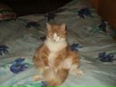 Фотография Китто Марины