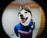 Стас Мировский фотография #2 (источник - https://vk.com/id3205671)