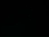 Петро Ліневич фотография #35 (источник - https://vk.com/id96289552)