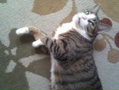 Фотография Хавиной Ируси