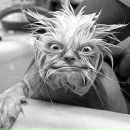 Фотография Боева Елизавета