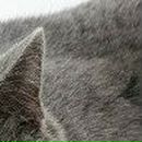 Оля Бондарчук--Варшавець фотография #45 (источник - https://vk.com/id52409522)