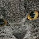 Оля Бондарчук--Варшавець фотография #38 (источник - https://vk.com/id52409522)