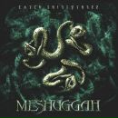 Фотография Закона Алексея