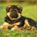 Діана Клим фотография #23 (источник - https://vk.com/id165758883)