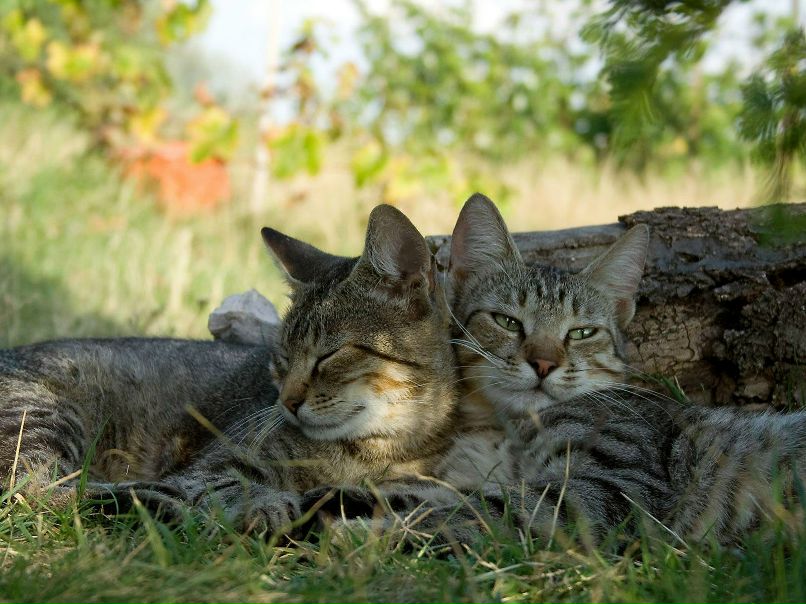 Дмитрий Чупашев фотография #46