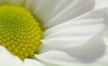 Наталіна Новосад фотография #26 (источник - https://vk.com/id16100410)