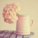 Ірина Москвитин фотография #33 (источник - https://vk.com/id53629941)