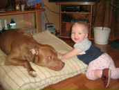 Фотография Шалаевского Андрея