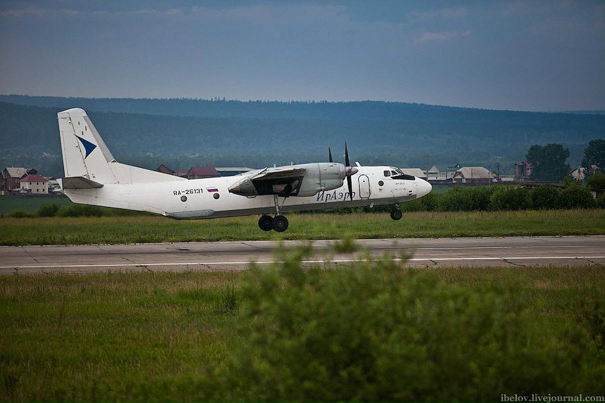 Кот Бегемот фотография #39