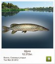 Степан Вівчар фотография #41 (источник - https://vk.com/id147025983)