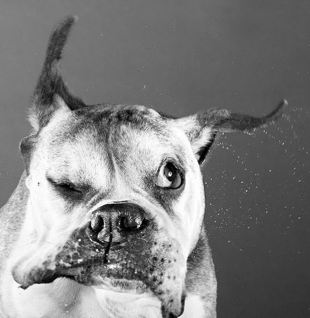 Оля Романенко фотография #35