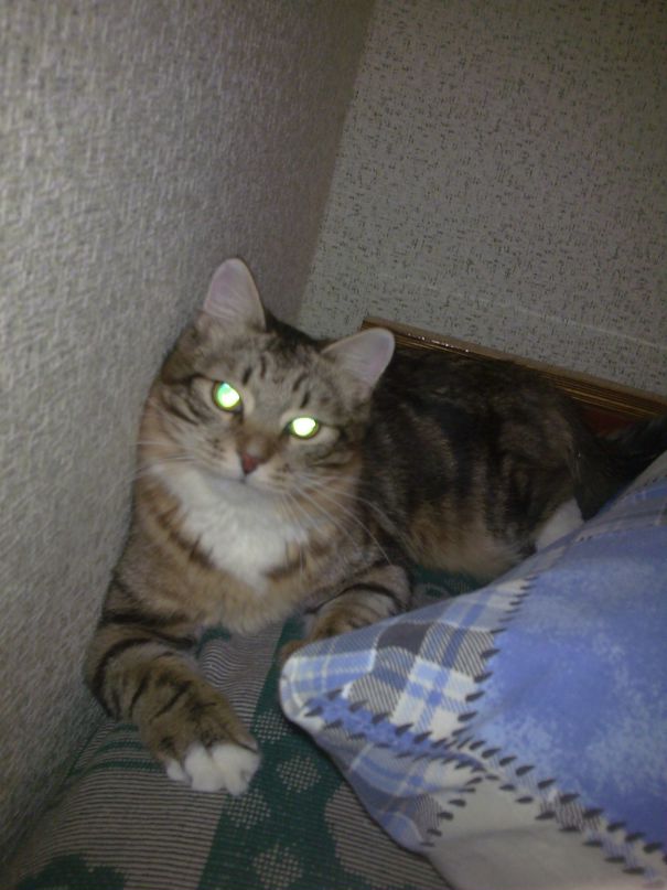 Рустам Акаев фотография #1