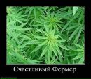 Фотография Кубарева Сереги