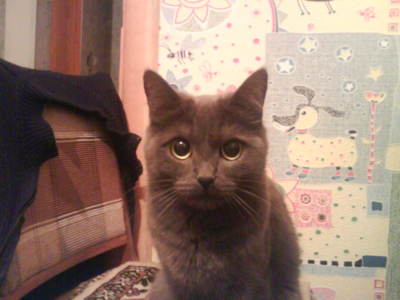 Дмитрий Груненко фотография #27