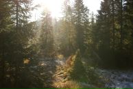 Павло Сергійович фотография #26 (источник - https://vk.com/id12370785)