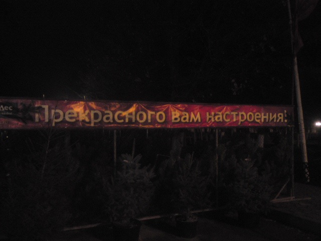 Саша Орищенко фотография #2