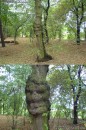 Иван Мамаев фотография #37 (источник - https://vk.com/id41126166)