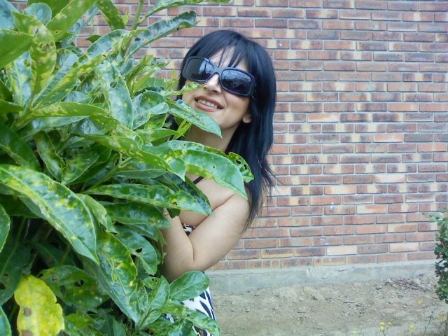 Teo Teo фото №1