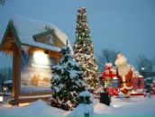 Софья Комиссарчик фотография #40 (источник - https://vk.com/id244104)