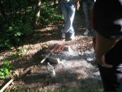 Іріна Модіна фотография #4 (источник - https://vk.com/id90192373)