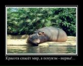 Фотография Шипилло Константина