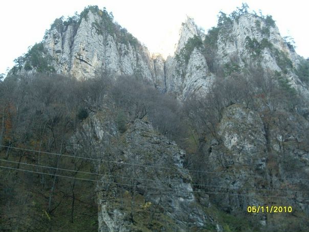Виктор Багаев фото №4