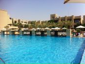 Дмитрий Алексеев фотография #25 (источник - https://vk.com/id488410)