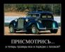 фотография #37