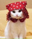 Кис-кис Кошаки™ фотография #15 (источник - https://vk.com/id133602296)