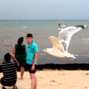 Фотография Автомонова Олега