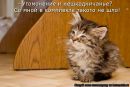 Фотография Акименкова Дмитрия