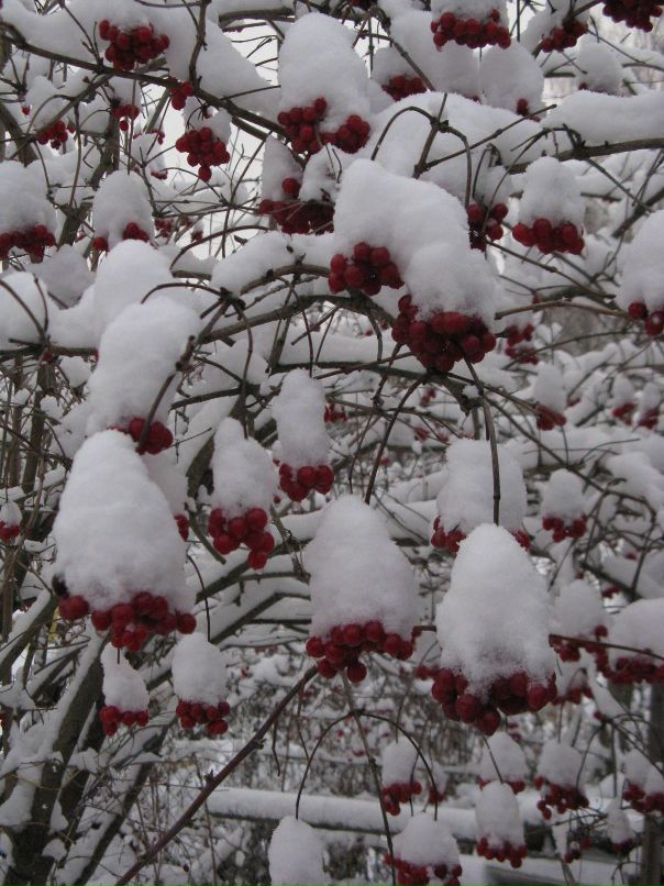 Мария Бильчук фотография #14