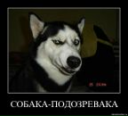 Андрій Гульчук фотография #36 (источник - https://vk.com/id21827585)