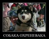 Андрій Гульчук фотография #35 (источник - https://vk.com/id21827585)