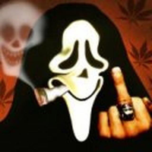 Дмитрий Дурягин фотография #15