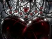 Фотография Радионовой Юлии