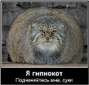 Фотография Инякина Оля