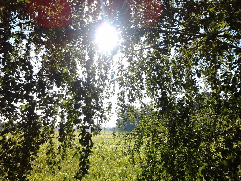 Три Ноль фотография #43